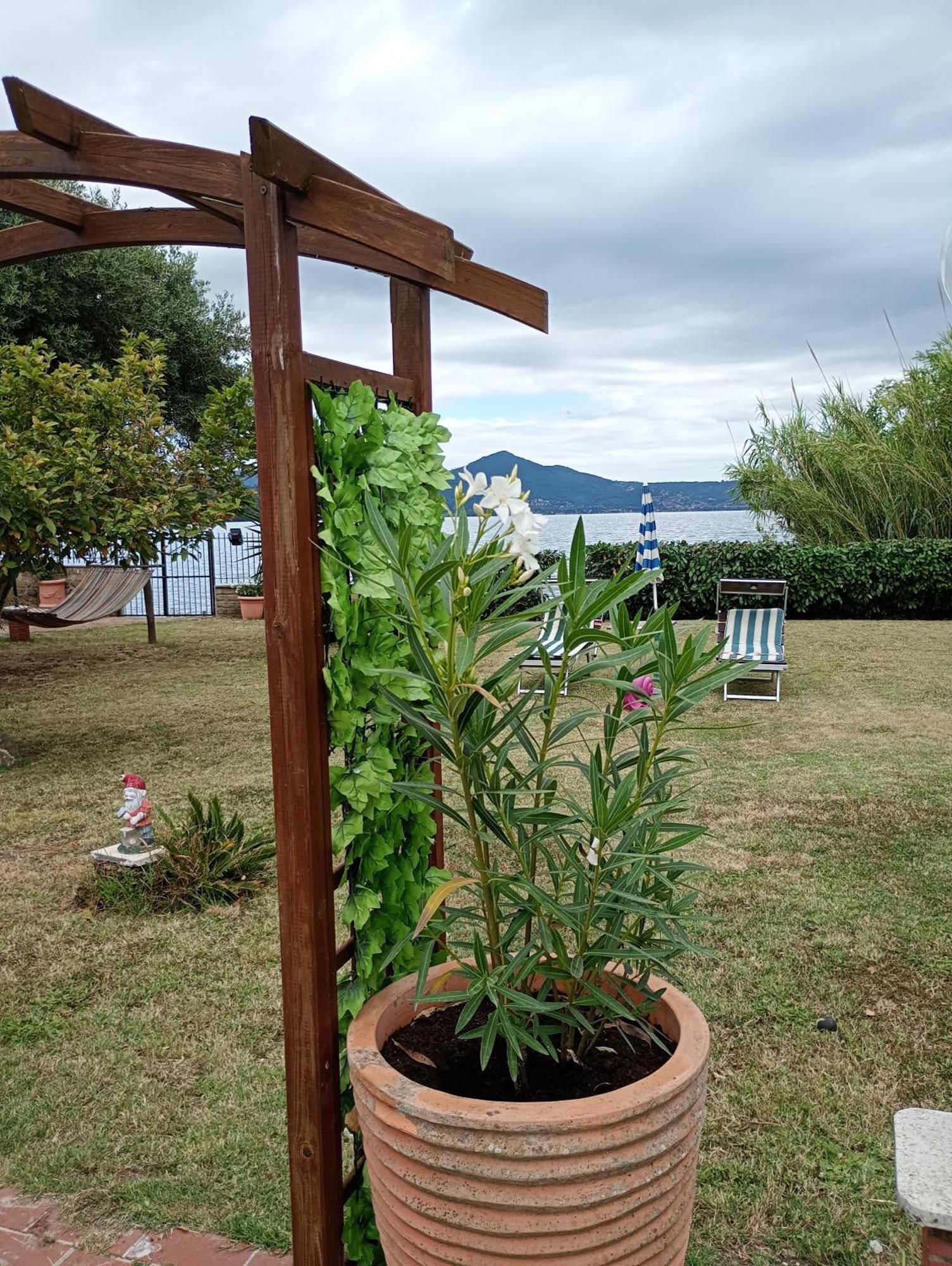 Independent Villa With Private Beach On The Lake Bracciano  Ngoại thất bức ảnh